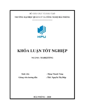 Giải pháp mở rộng thị trường cho sản phẩm tại Công ty 