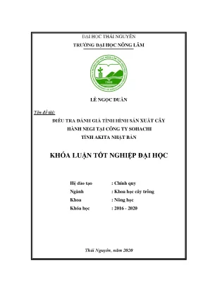Đánh giá sản xuất cây hành negi tại công ty Sohachi, 