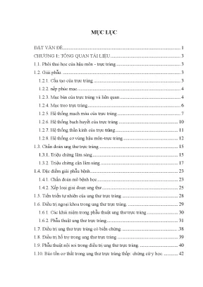 Đánh giá hiệu quả phẫu thuật nội soi trong điều trị ung