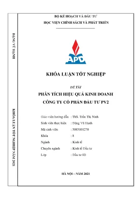 Phân Tích Hiệu Quả Kinh Doanh Công Ty Cổ Phần Đầu Tư PV2