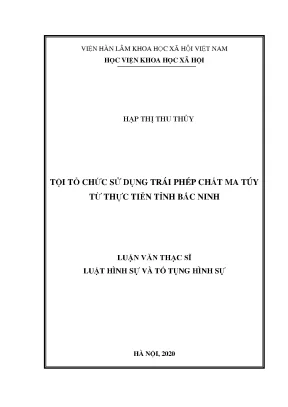 Nghiên cứu tội tổ chức sử dụng ma túy tại Bắc Ninh