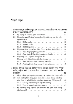Nghiên cứu hiệu ứng động và âm điện tử trong hệ điện tử 