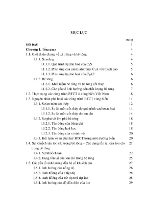 Nghiên cứu khuếch tán ci trong bê tông với mô hình tang