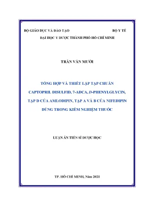 Luận án tiến sĩ dược học: Tổng hợp và thiết lập tạp 