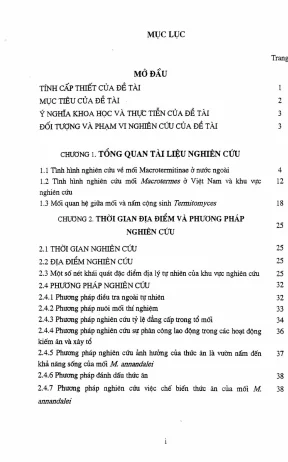 Nghiên cứu sinh học mối Macrotermes Annandalei tại miền