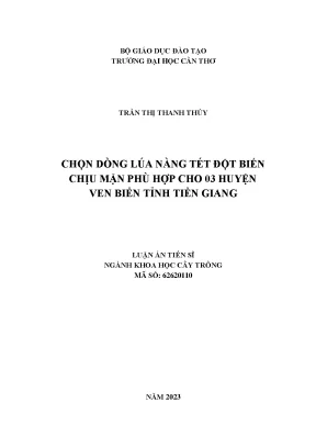 Nghiên cứu chọn giống lúa nàng tét chịu mặn cho vùng ven