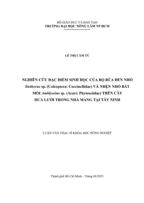 Nghiên cứu sinh học bọ rùa đen nhỏ và nhện nhỏ bắt mồi 