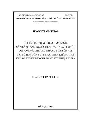Nghiên cứu lâm sàng và chế tạo kháng nguyên ns1 phát 