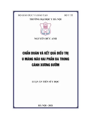 Chẩn đoán và điều trị u màng não hai phần ba trong cánh 