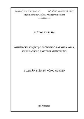 Nghiên cứu giống ngô lai ngắn ngày chịu hạn cho miền Trung