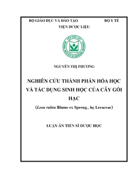 Nghiên cứu hóa học và tác dụng sinh học của cây gối hạc 