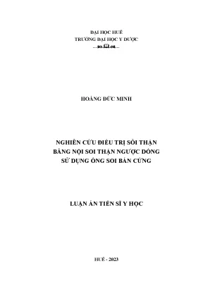 Nghiên cứu điều trị sỏi thận bằng nội soi thận ngược 