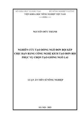 Nghiên cứu dòng ngô đơn bội kép chịu hạn bằng công nghệ 