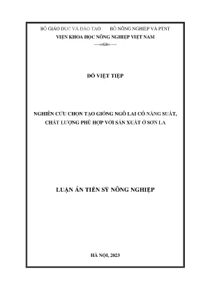 Nghiên cứu giống ngô lai năng suất cao cho Sơn La