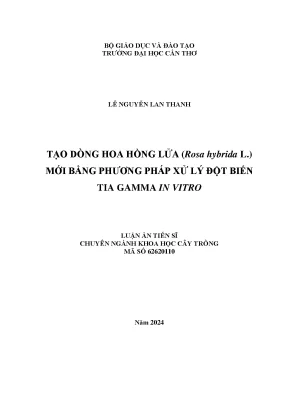 Nghiên cứu tạo dòng hoa hồng lửa rosa hybrida l qua xử