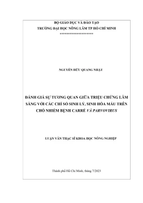Đánh giá mối liên hệ giữa triệu chứng lâm sàng và chỉ số