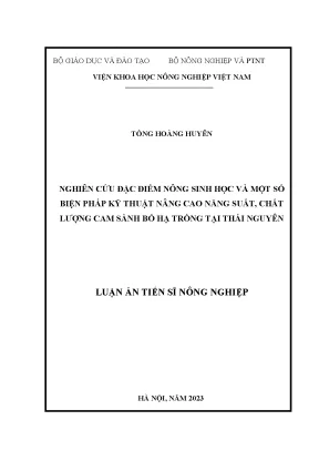 Nâng cao năng suất và chất lượng cam sành tại Thái