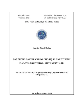 Mô phỏng Monte Carlo cho hệ vi cầu từ tính Fe3O4 và 