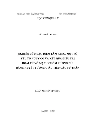 Nghiên cứu điều trị hoại tử vô mạch chỏm xương đùi bằng 