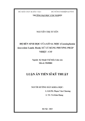 Nghiên cứu tính toán thừa số đa cực cho hạt nhân nhẹ 