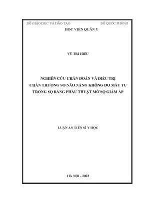 Nghiên cứu chẩn đoán và điều trị chấn thương sọ não nặng 