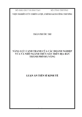 Năng lực cạnh tranh của doanh nghiệp vừa và nhỏ ngành