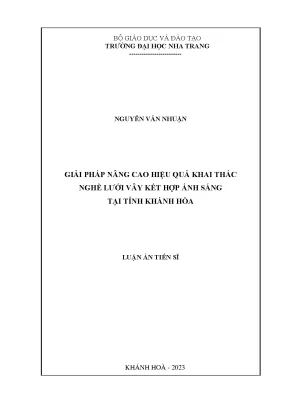 Giải pháp nâng cao hiệu quả khai thác nghề lưới vây ánh 
