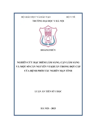 Nghiên cứu đặc điểm lâm sàng và vi khuẩn trong đợt cấp 