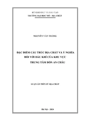 Cấu trúc địa chất và tiềm năng dầu khí khu vực trung tâm 