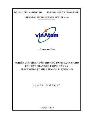 Nghiên cứu tính toán thừa số đa cực cho hạt nhân nhẹ 