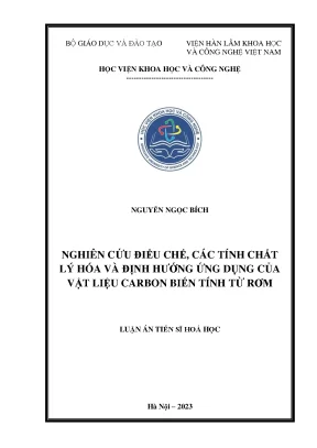 Nghiên cứu vật liệu carbon từ rơm: Tính chất lý hóa và 
