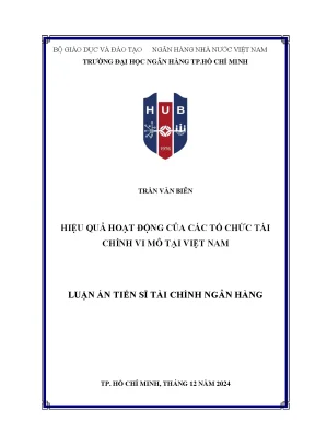 Tổ Chức Tài Chính Vi Mô Tại Việt Nam: Hiệu Quả Hoạt Động