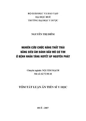 Nghiên cứu chức năng thất trái qua siêu âm ở bệnh nhân 
