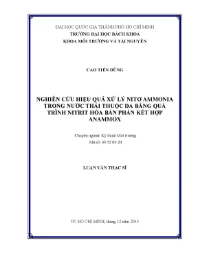 Nghiên cứu hiệu quả xử lý nitơ ammonia trong nước thải