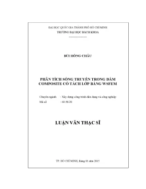 Phân Tích Sóng Truyền Trong Dầm Composite Bằng WSFEM