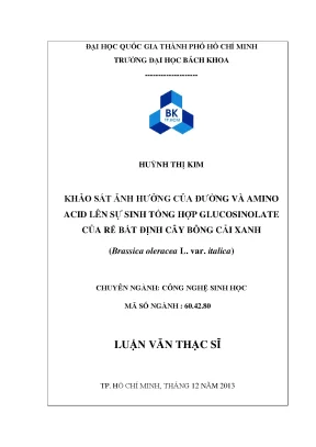 Nghiên cứu ảnh hưởng của đường và amino acid đến sinh