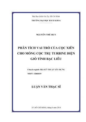 Phân Tích Vai Trò Cọc Xiên Trong Móng Cọc Trụ Turbine