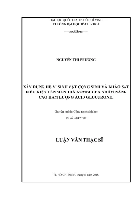 Nâng cao hàm lượng acid glucuronic trong trà kombucha