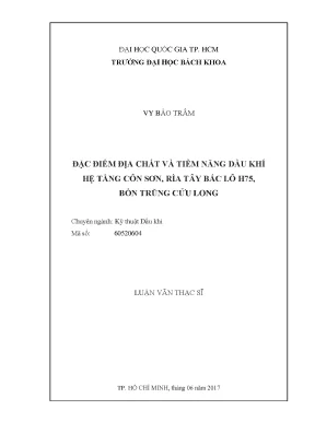 Tiềm năng dầu khí hệ tầng Côn Sơn tại lô H75 bồn trũng 