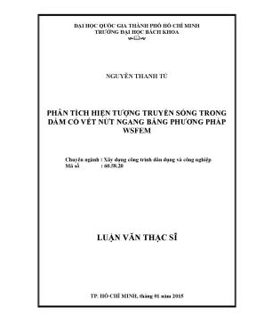 Phân Tích Truyền Sóng Trong Dầm Nứt Bằng Phương Pháp WSFEM