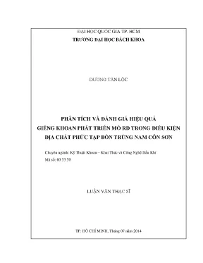 Phân Tích Hiệu Quả Giếng Khoan Trong Mỏ RD Tại Bồn Trũng 