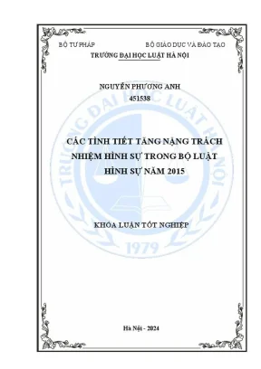 Phân tích các tình tiết tăng nặng trách nhiệm hình sự 
