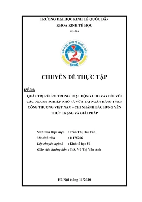 Thực Trạng Và Giải Pháp Quản Trị Rủi Ro Trong Cho Vay 