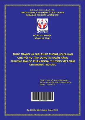 Giải pháp phòng ngừa rủi ro tín dụng tại Ngân hàng TMCP