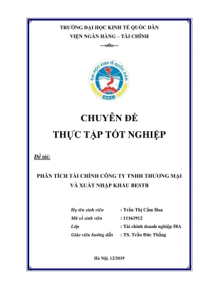 Phân tích tài chính công ty TNHH Thương mại và Xuất nhập