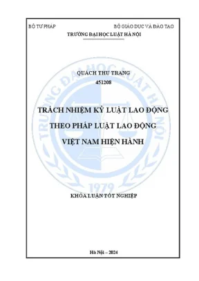 Trách Nhiệm Kỷ Luật Lao Động Theo Pháp Luật Việt Nam