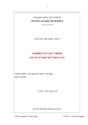 Luận Văn Thạc Sĩ: Nghiên Cứu Quy Trình Sản Xuất Bột Dứa 