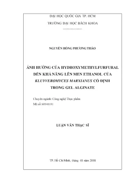 Ảnh hưởng của Hydroxymethylfurfural đến lên men ethanol
