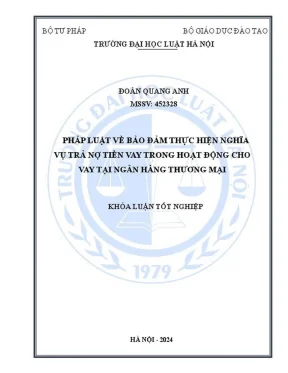 Pháp luật bảo đảm nghĩa vụ trả nợ tiền vay tại ngân hàng 