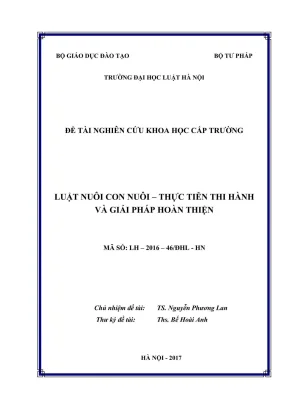 Nghiên cứu thực tiễn nuôi con nuôi và giải pháp hoàn thiện